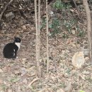 회동수원지 공중화장실 이미지