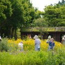 친환경 그린 가드닝 이미지