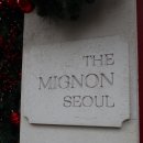 mignon 티스토리