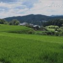 The드림공인중개사사무소 이미지