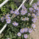 페이지26-9 이미지