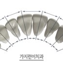 가지런이치과교정과치과의원 이미지
