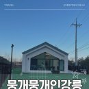 강릉원예농협하나로마트초당점 | 강릉 애견동반 숙소 추천 | 뭉개뭉개인강릉 솔직 후기 (feat. 아기동반, 웰시코기)