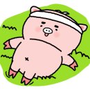 빈체로 휘트니스 이미지