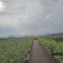 일출봉 민물장어 | [순천 장어 맛집] 일출봉 민물장어 내돈내산!!! : 여수