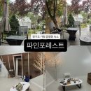 파인빌펜션 | [파인포레스트] 가평 글램핑 추천, 뷰어리 숙소 솔직 후기