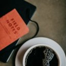 도치커피 이미지