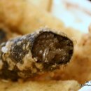 도도분식 이미지