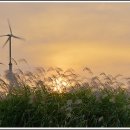 하늘공원 이미지