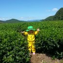 고운나라어린이집 이미지