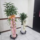 신세대노래연습장 이미지