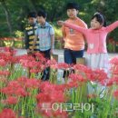 천년숲서로 이미지