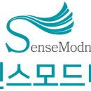 센스 모드니 가발