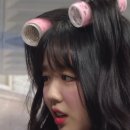 일상정
