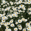 마실길 입구 주차장 이미지