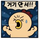 내맘이닭