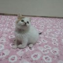 현이랑 후랑
