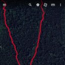 유선정 체육공원 이미지