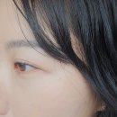 캔디의지구사랑가게 | 전주속눈썹 '캔디래쉬' 하가지구 속눈썹펌 짧은 속눈썹도 또렷해지는 블랙틴팅펌