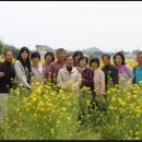 염소야놀자 이미지