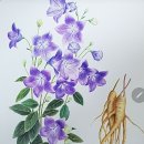 색연필 보타니컬 아트 이미지