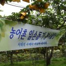 서대전 우체국 앞 이미지