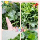 황토골농장 이미지