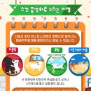 행복펫메이트 이미지