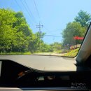 춘전목장 | 춘천 강아지랑 가볼만한곳 : 해피초원목장 강아지랑 평일방문후기