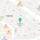 노블진내과의원 Daum카페