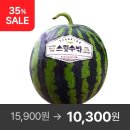 [전북생생장터]수박 4KG 10300원 무배 이미지