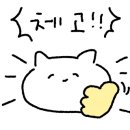 용강스파스포렉스 네이버블로그