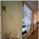 수원-0737 이미지