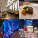 오로라가든 | 영종도 가볼만한곳, 인스파이어 가든 팜 카페 세미 뷔페 솔직후기 (ft. 오로라 공연 시간)