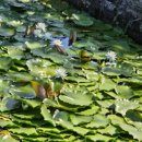 공동정호 이미지