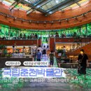 우석로 L | 춘천 가볼만한곳 국립춘천박물관 미디어아트 실내 데이트 여행 후기