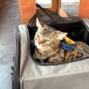 포러데이 티스토리