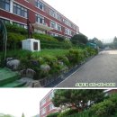 파평초등학교 이미지