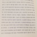 친절한 복희씨 이미지