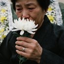 소망장례식장,식당,매점 | 충격…장례식장이 조문객 화환을 1000원에 팔았다? 드디어 칼 빼든 정부