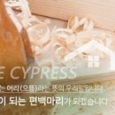 도마제빵소 이미지