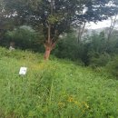 동산정비 이미지