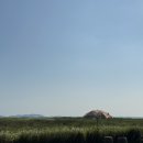 바다가 되고싶은 비 이미지