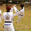 다원태권도 이미지