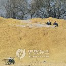 강진 도정공장 이미지