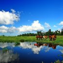 삼천포유람선협회 | 9월 국내여행지 추천 ! 황금연휴 여행으로 안성맞춤