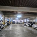 로데오골프클럽 | 영등포 문래 실내 골프연습장- 갤러리골프아카데미 문래점 솔직 후기