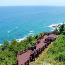 더 스트림 이미지