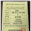 산양삼 9년근 작은거 50뿌리 이미지