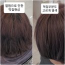 창원미용실 염색잘하는 곳 상남동 비비엔느헤어 창원상남점 염색 재방문 후기